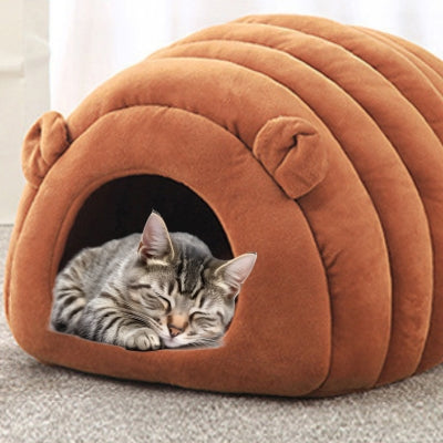 chat dormant profondement dans chat panier caramel