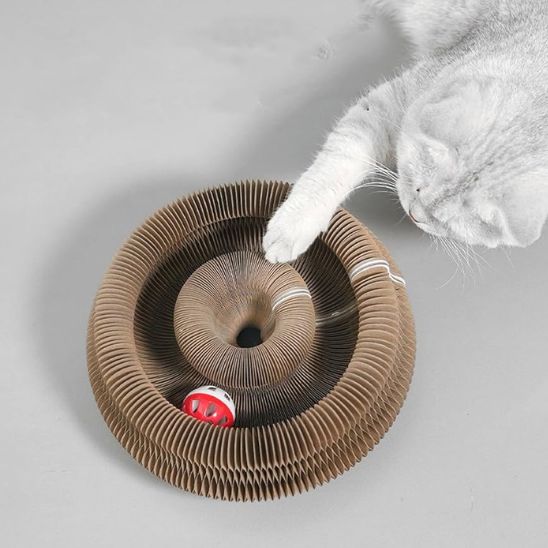 chat essaye d'attraper balle griffoir pour chat