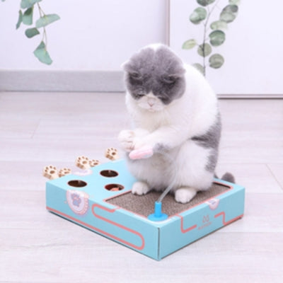 chat jouant avec bâton teaser griffoir à chat