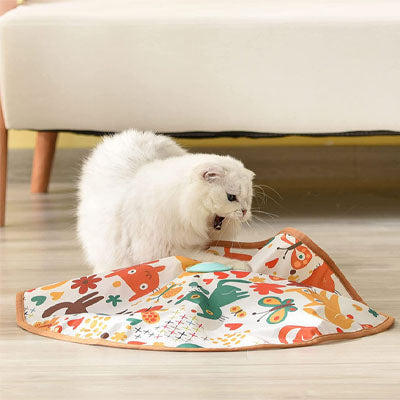 chat jouet chat jouant sur tapis jeu
