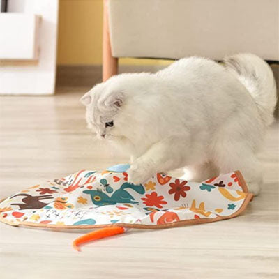 chat jouet chat jouant tapis jeu