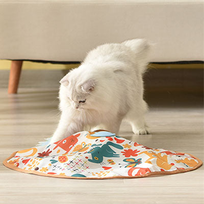 chat jouet chat pétrissant tapis jeu