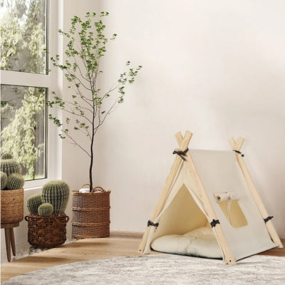 chat niche à cÎté plantes d'intérieur