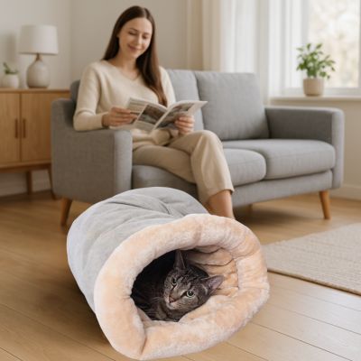 chat niche vert sauge chat relaxant dedans femme lisant magasine dans salon