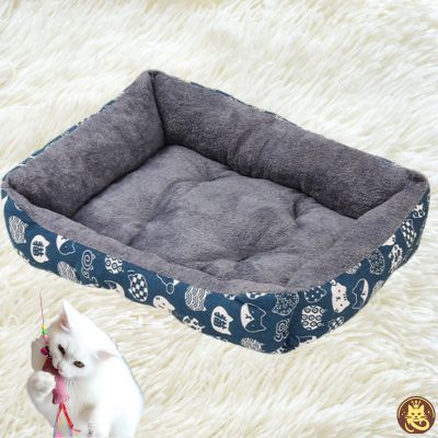 chat panier dreamynest bleu chaton jouant