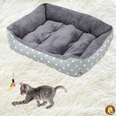 chat panier dreamynest gris motif étoiles chaton gris jouant