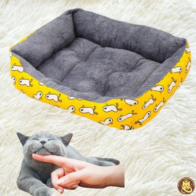 chat panier dreamynest jaune chat caressé par son maßtre