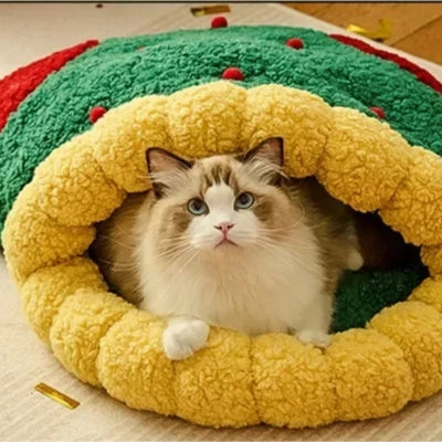 chat panier ragdoll lové confortablement dedans