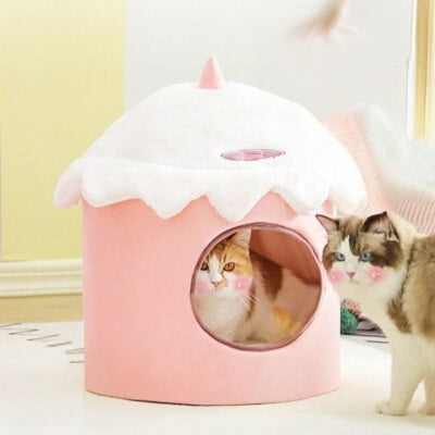 chat relaxant dans maison pour chaton autre chat devant maison