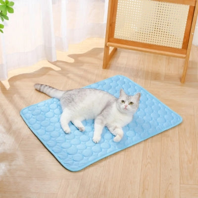chat relaxant sur tapis rafraichissant chat bleu