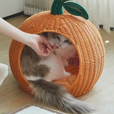 chat se repose panier en rotin pour chat