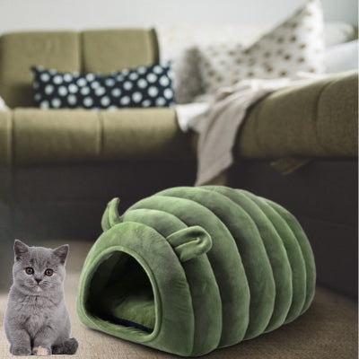 chaton assis à cÎté chat panier vert dans salon