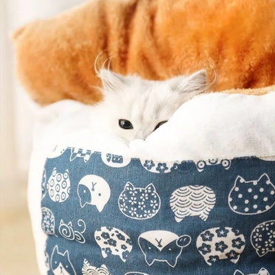 chaton caché dans lit pour chaton