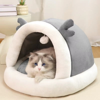 chaton detendu dans nide chaton gris perle