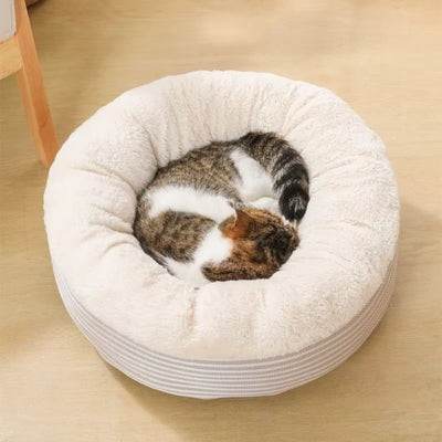 chaton dort profondement dans coussin pour chaton beige