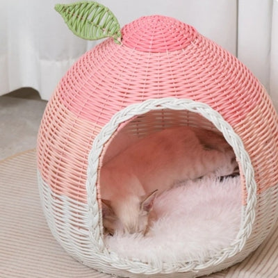chaton dort profondement panier pour chat en osier