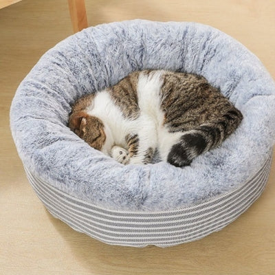 chaton dort profondement dans coussin pour chaton gris