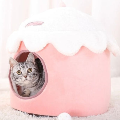 chaton en detente dans maison pour chaton