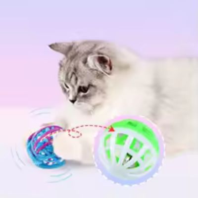 chaton jouant avec jouet chat sonore