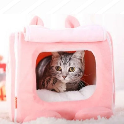 chaton lové dans sa maison pour chaton