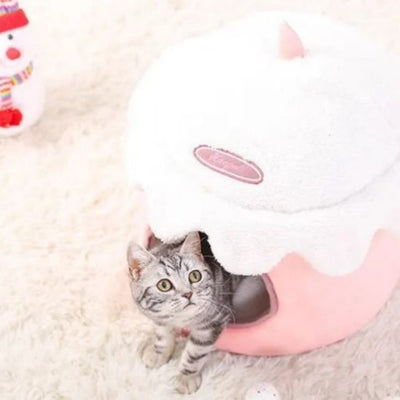 chaton observant dans maison pour chaton