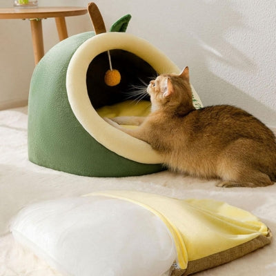 chaton patounant son nid chaton coussin intérieur sorti à cÎté