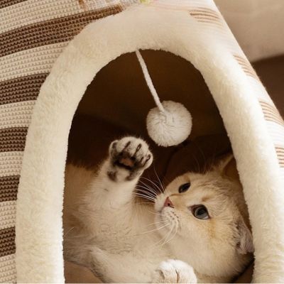 chaton s'amuse balle suspendue niche pour chaton