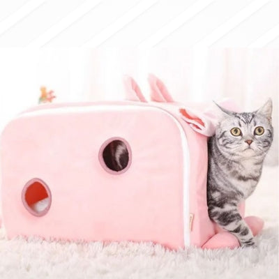 chaton sortant sa maison pour chaton rectangulaire