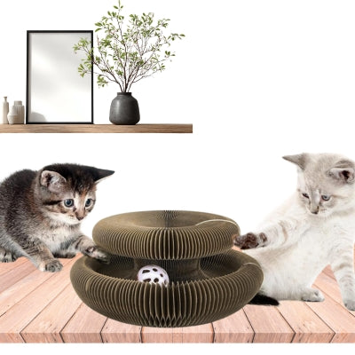 chatons jouant avec griffoir pour chat