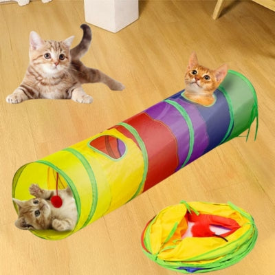 chatons jouant dans tunnel pour chat
