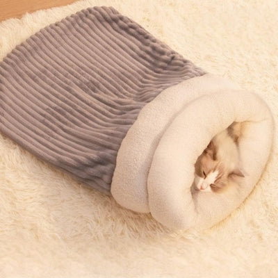 couffin chaton gris ragdoll dort dedans