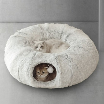 coussin à chat chat detendu dedans chat en haut