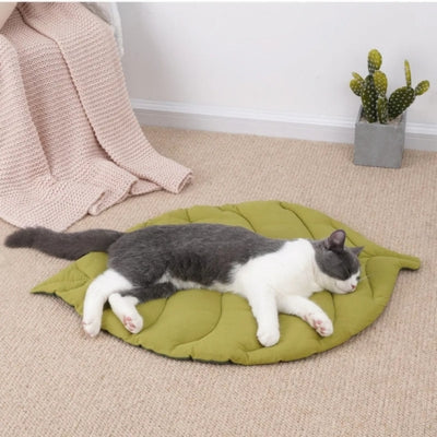 coussin à chat chat dort profondement dessus
