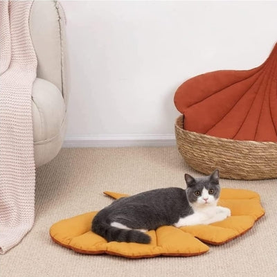 coussin à chat chaton relaxant paisiblement dessus salon