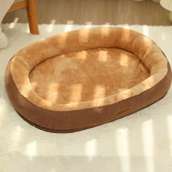 coussin chat café