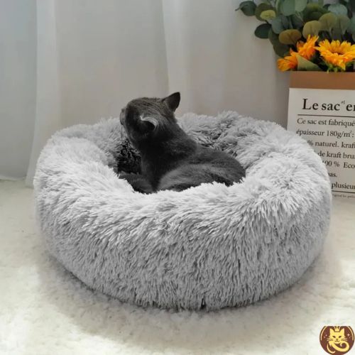 coussin chat cosy dodo argent avec chat gris detentu dedans