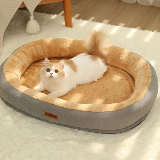 coussin chat gtis clair chat observant dessus