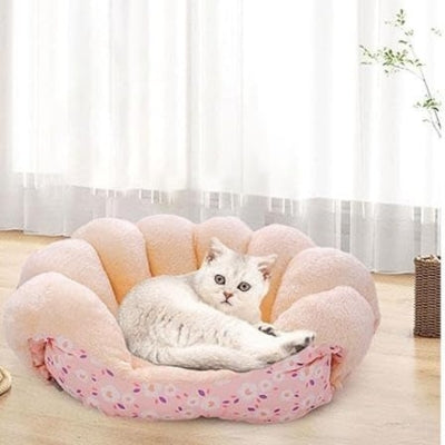 coussin chat rose fleuri chat detendu dedans