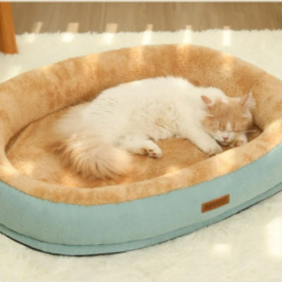 coussin chat vert clair chat endormi dessus