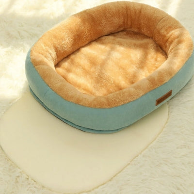 coussin chat vert clair éponge sortie