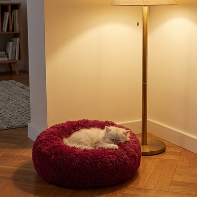 coussin chats tout doux rouge bourgogne chat blanc lové dedans