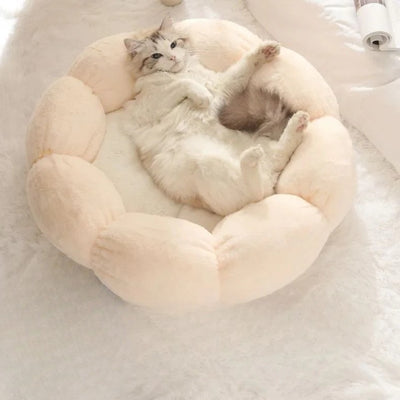 coussin pour chat creme chat detendu confortablement dessus