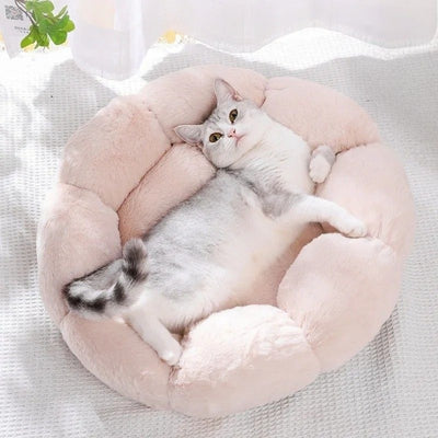 coussin pour chat creme ragdoll detendu confortablement dessus