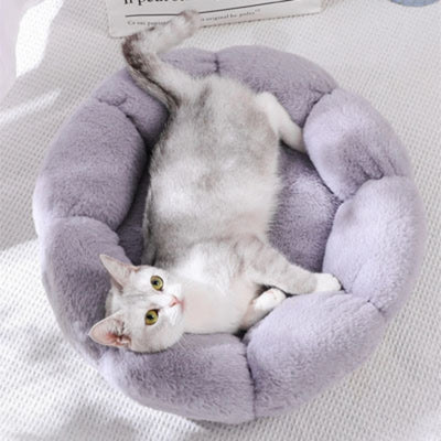 coussin pour chat gris chat relaxant confortablement dessus