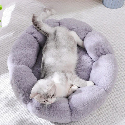 coussin pour chat gris chaton allongé  confortablement dessus