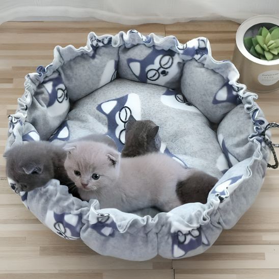 coussin pour chat gris raccoon chatons dedans