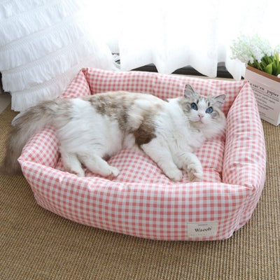 coussin pour chat ragdoll allongé paisiblement dessus