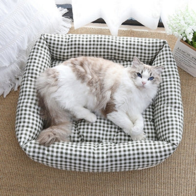 coussin pour chat ragdoll profitant detente dessus
