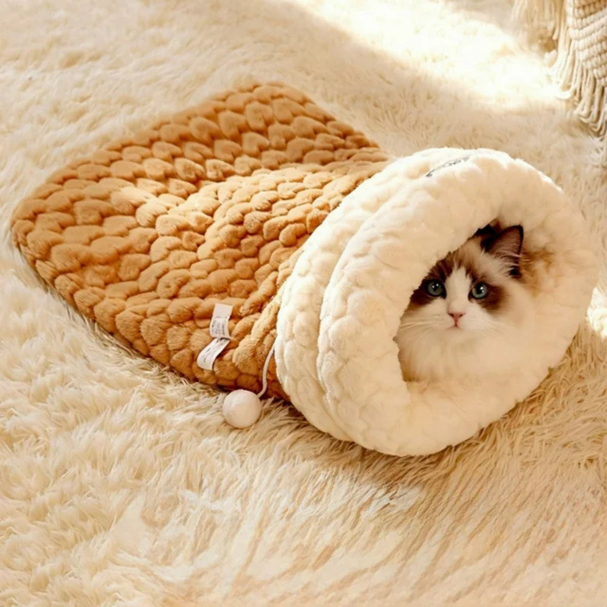 Coussin pour chaton marron, chaton lové dedans
