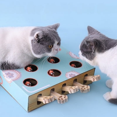 deux chats jouant avec griffoir à chat